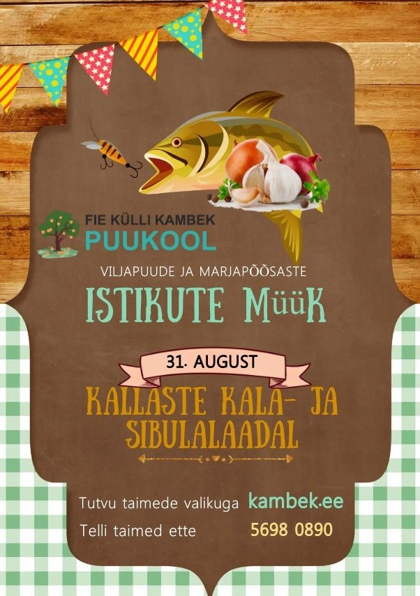 31.08.2024 Kallaste kala- ja sibulalaat