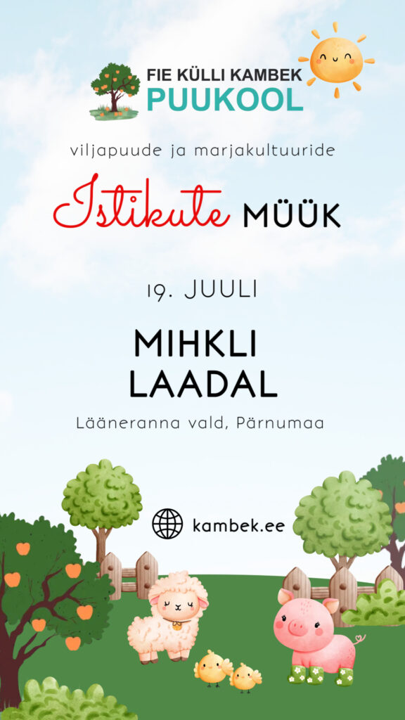 19.07.2025 Mihkli laat