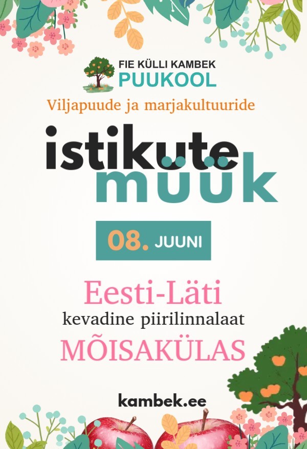 8.06.2025 Eesti-Läti piirilinnalaat Mõisakülas