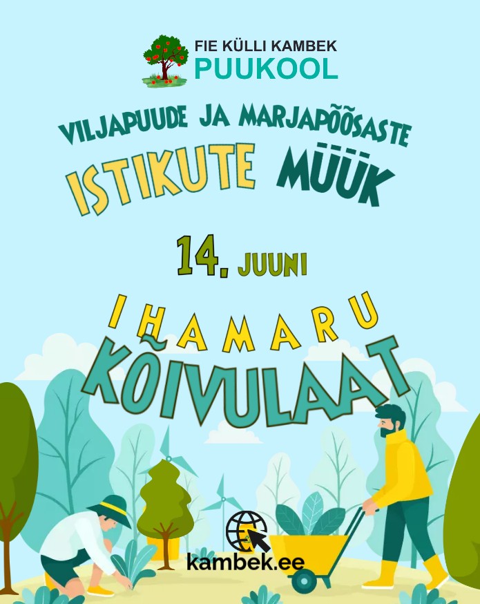 Ihamaru Kõivulaat 2025