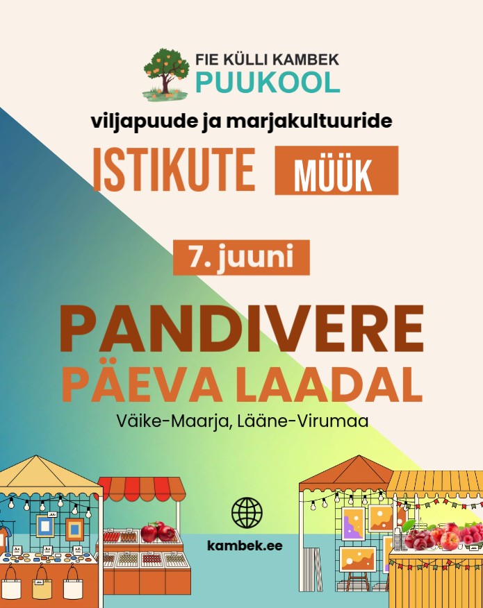 7.06.2025 Pandivere Päeva Laat