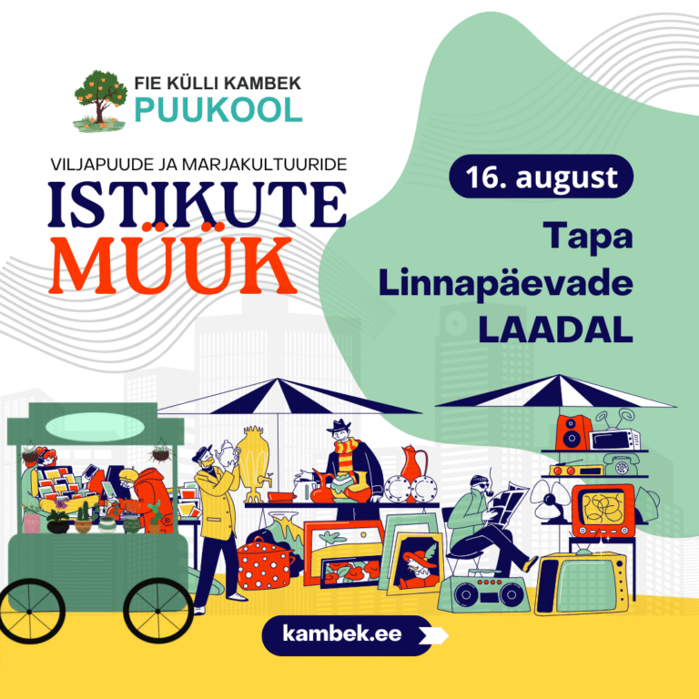 16.08.2025 Tapa Linnapäevade Laat