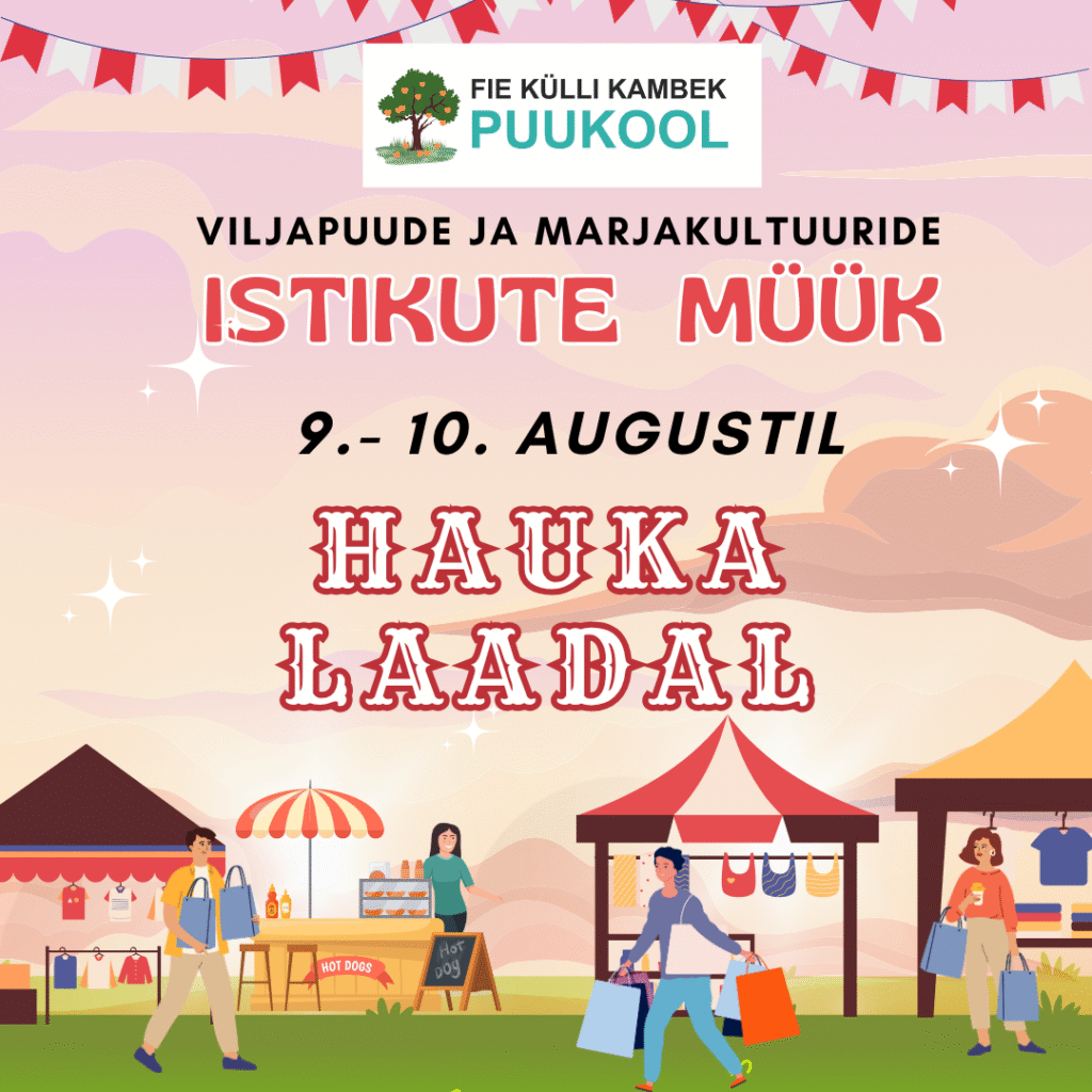 Hauka Laat 2025