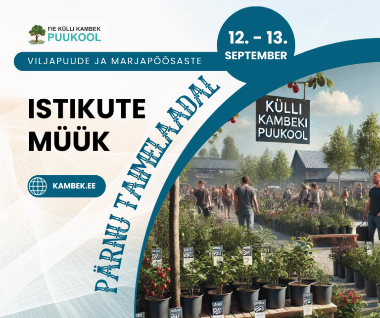 12-13.09.2025 Pärnu Taimelaat