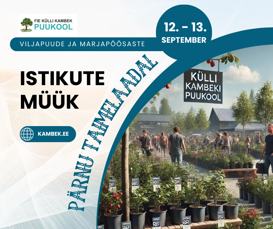 Pärnu Taimelaat sügis 2025