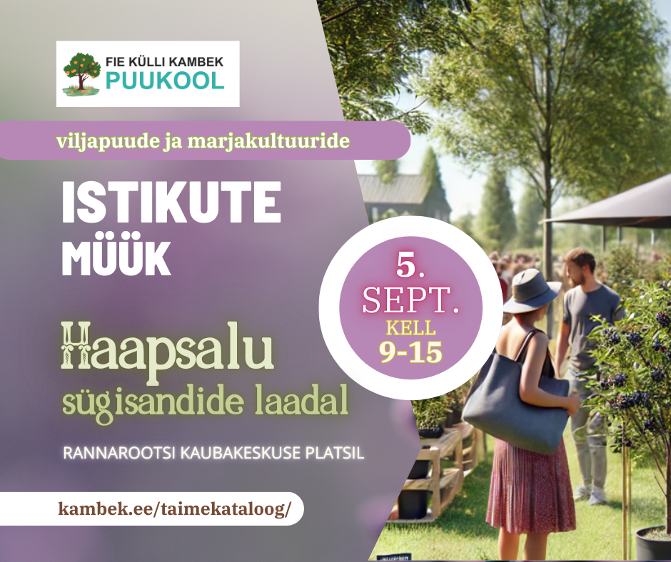 Haapsalu sügisandide laat 2025