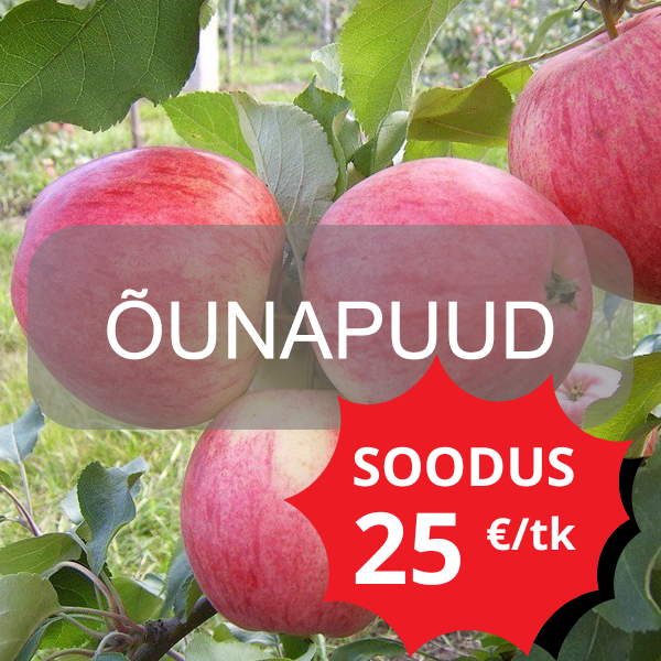 õunapuud