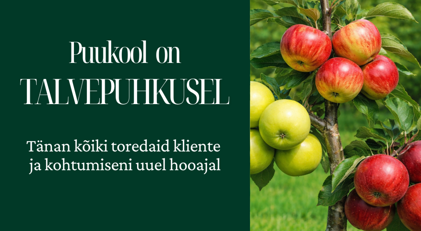 puukool on talvepuhkusel
