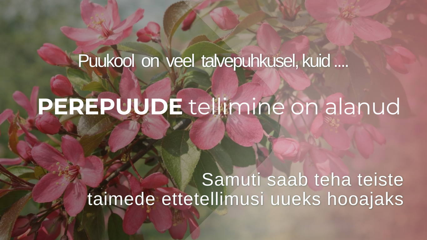 perepuude tellimine on alanud