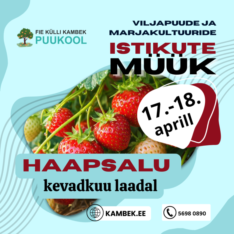 Haapsalu kevadkuu laat 17.-18. aprill 20236