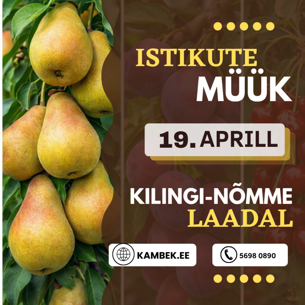 Kilingi-Nõmme laat 2026