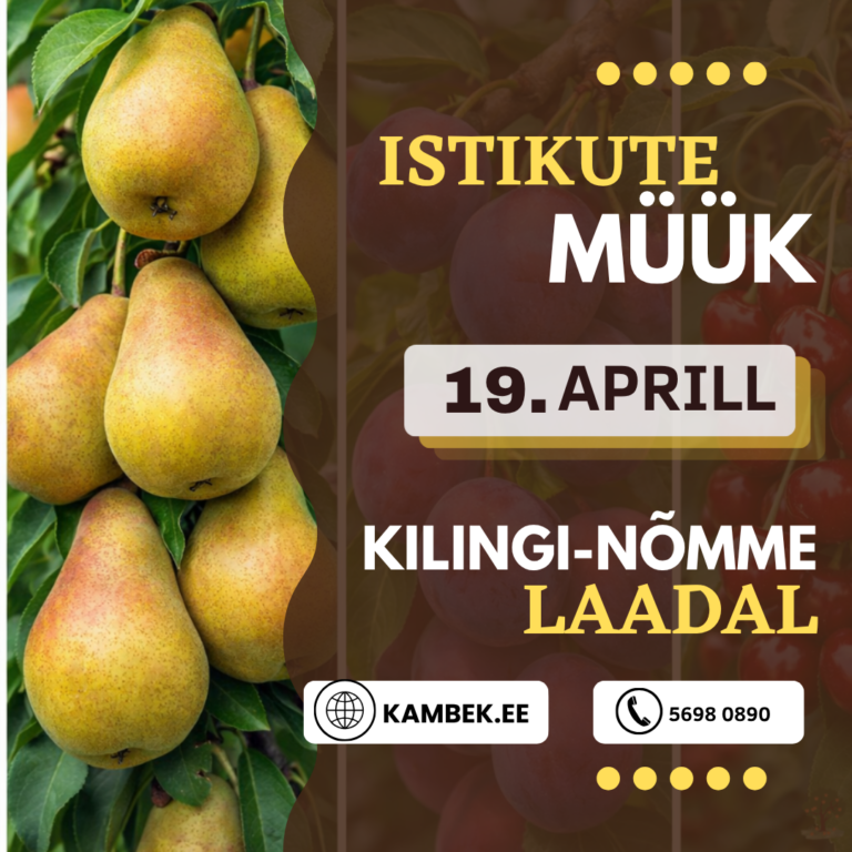 Kilingi-Nõmme laat 19. aprill 2026