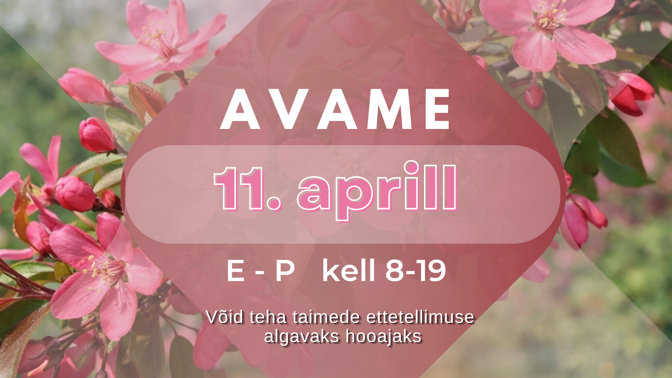 2026 aasta hooaega algab 11. aprill