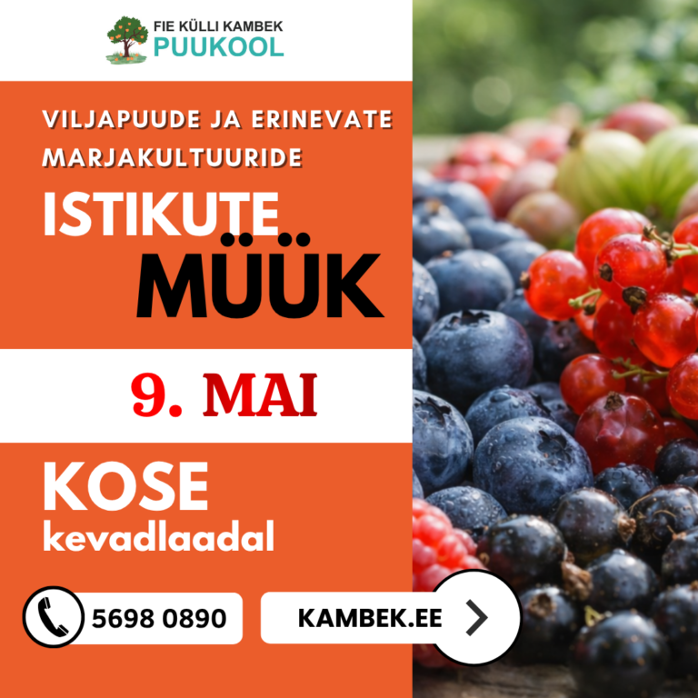 Kose kevadlaat 9. mai 2026
