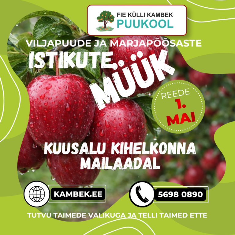 Kuusalu kihelkonna mailaat 1. mail 2026