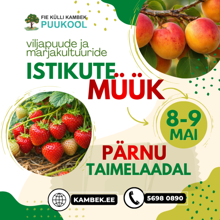 Pärnu Taimelaat 8-9. mai 2026