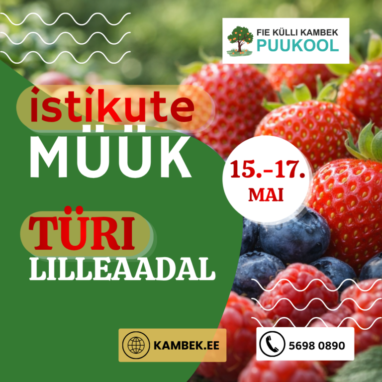 Türi Lillelaat 15.-17. mai 2026