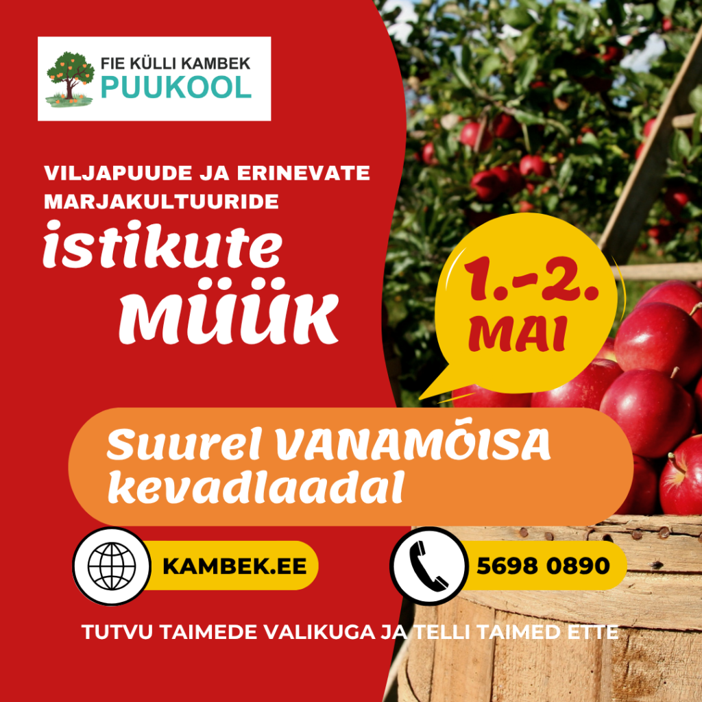 Suur Vanamõisa kevadlaat 2026