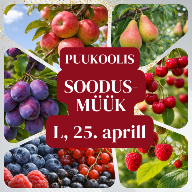 Puukoolis SOODUSMÜÜGI laupäev, 25. aprill 2026