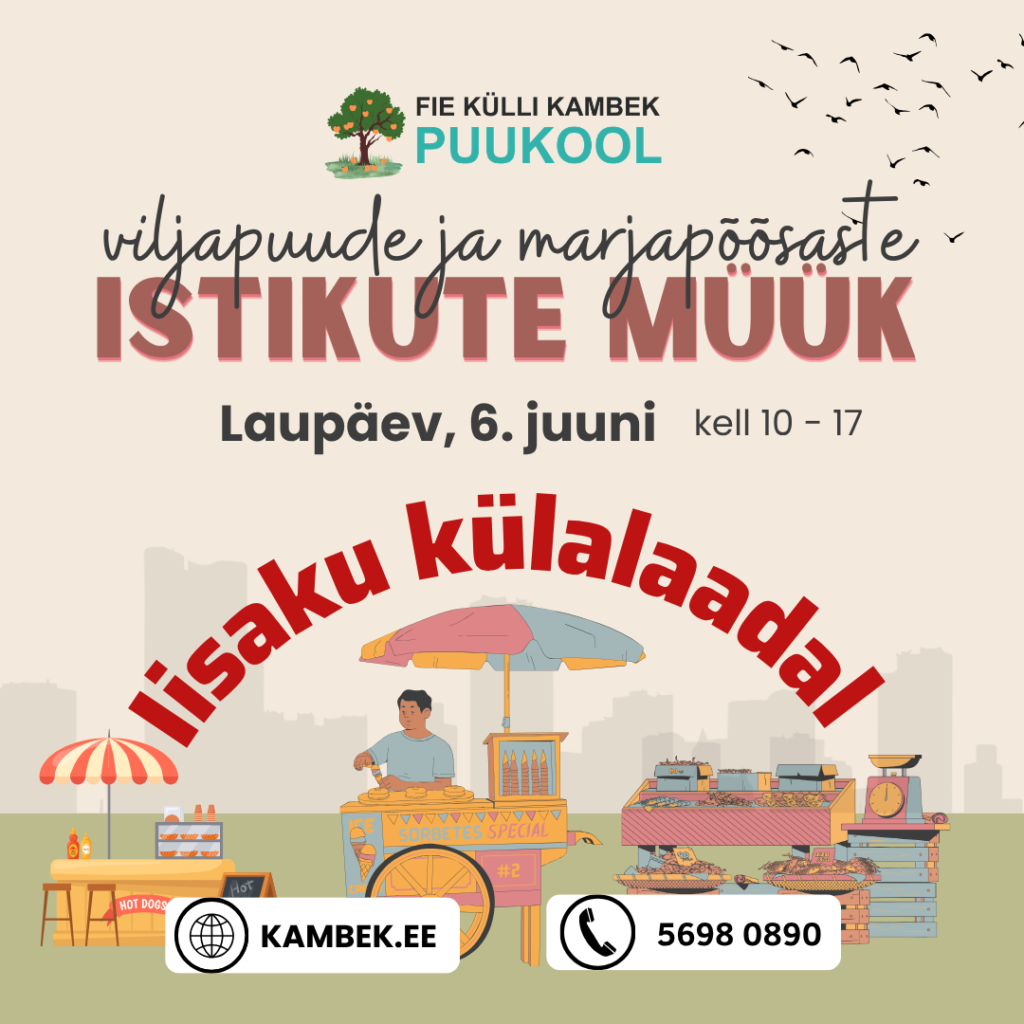 Iisaku külalaat 2026