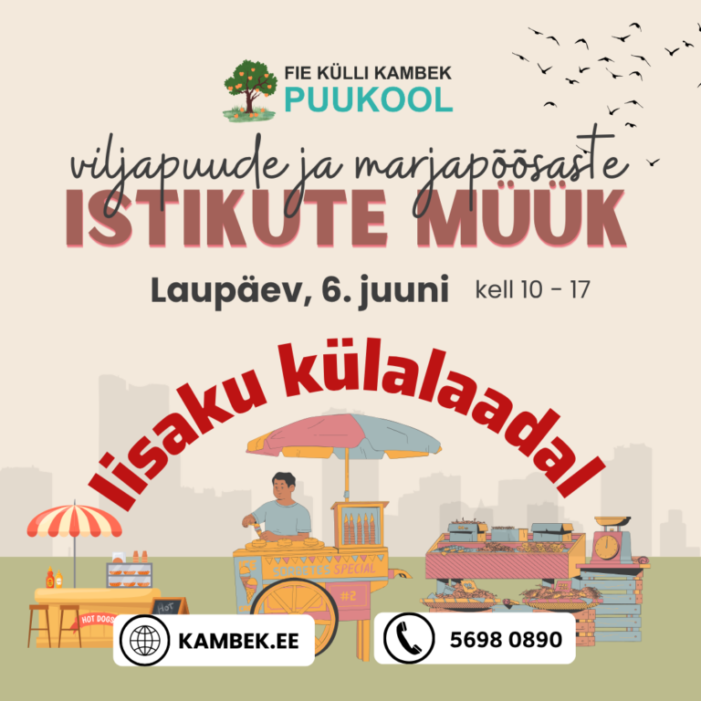 06.06.2026 Iisaku külalaat