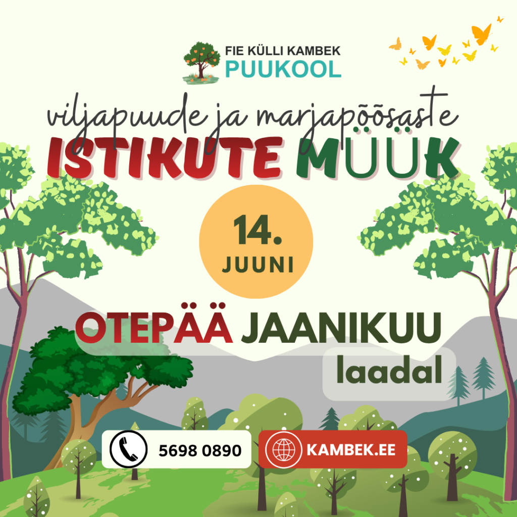 Otepää jaanikuu laat 2026