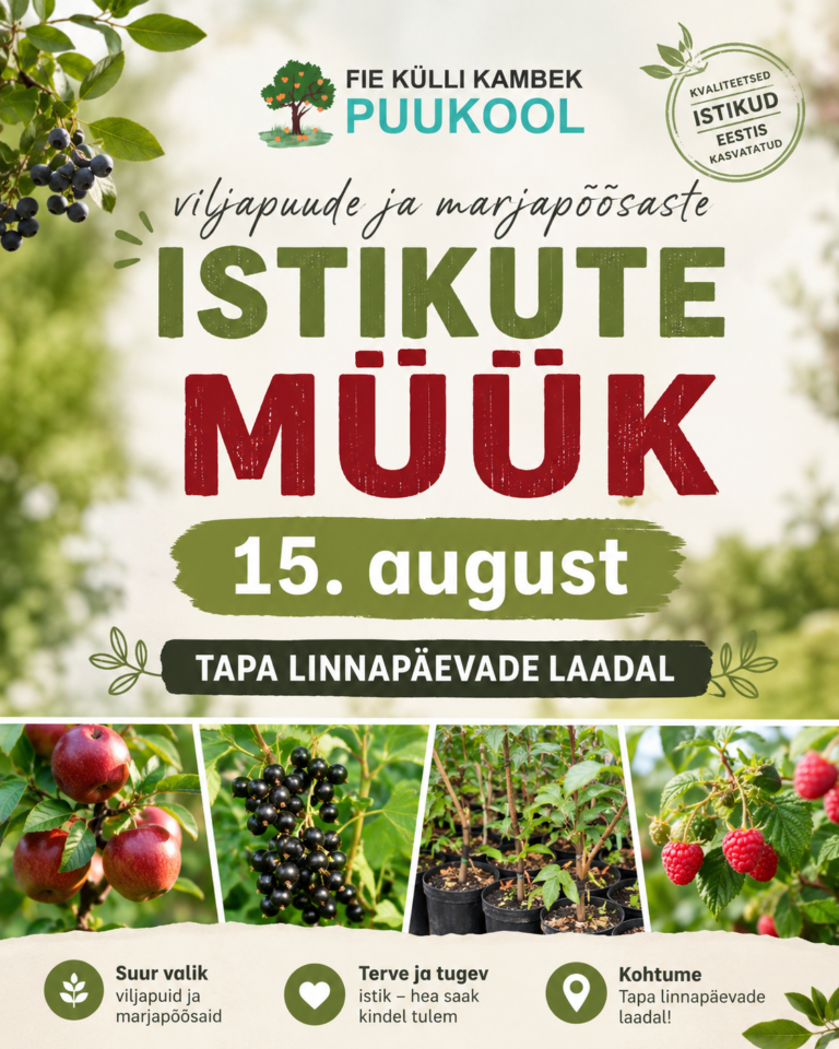Tapa linnapäevade laat 15.08.2026