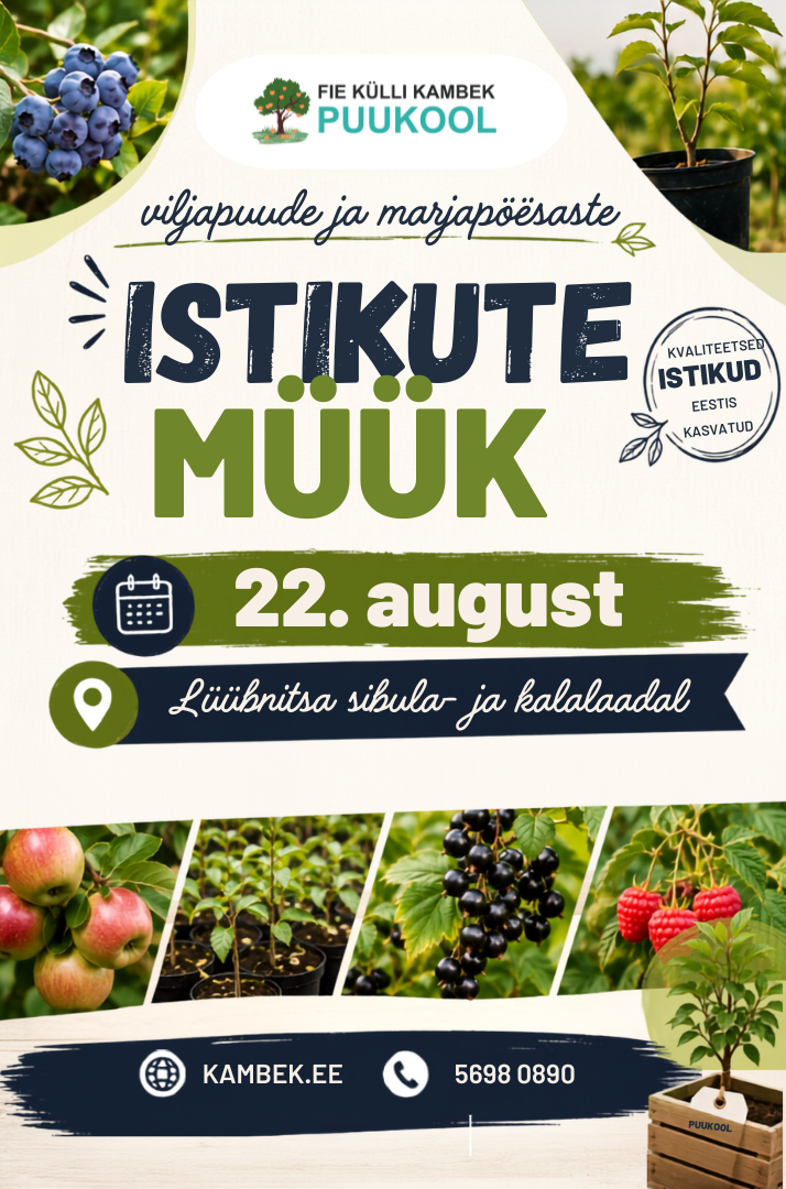 Lüübnitsa sibula- ja kalalaat 22.08.2026