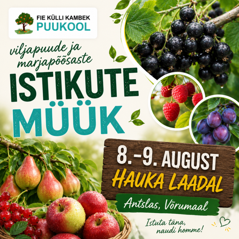 Hauka Laat 8.-9.08.2026
