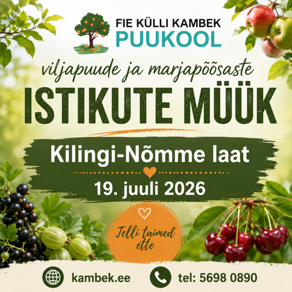 Kilingi-Nõmme laat