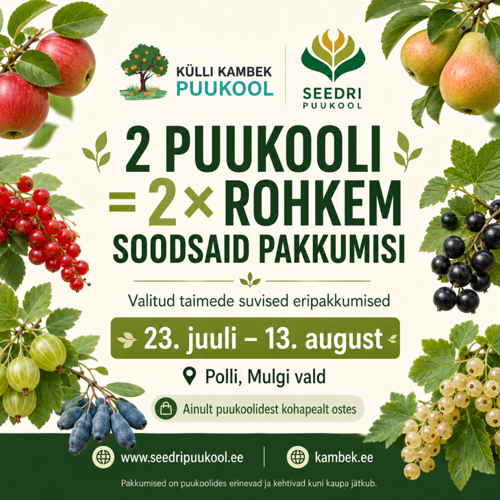 2 puukooli = 2× rohkem SOODSAID PAKKUMISI