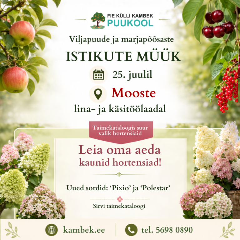 Mooste lina- ja käsitöölaat 25.07.2026