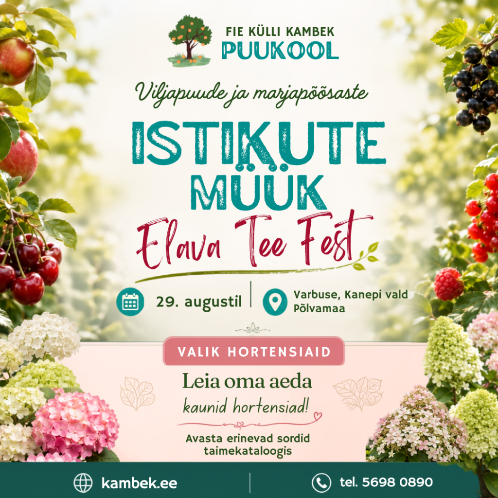 Elava Tee Fest 29. august 2026