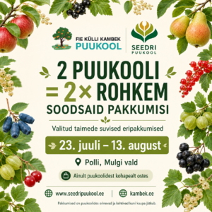 2 puukooli suvekampaania pakkumised