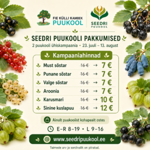 Seedri Puukool suvekampaania pakkumised