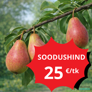 SÜGISPIRNISORDID kampaania soodustused
