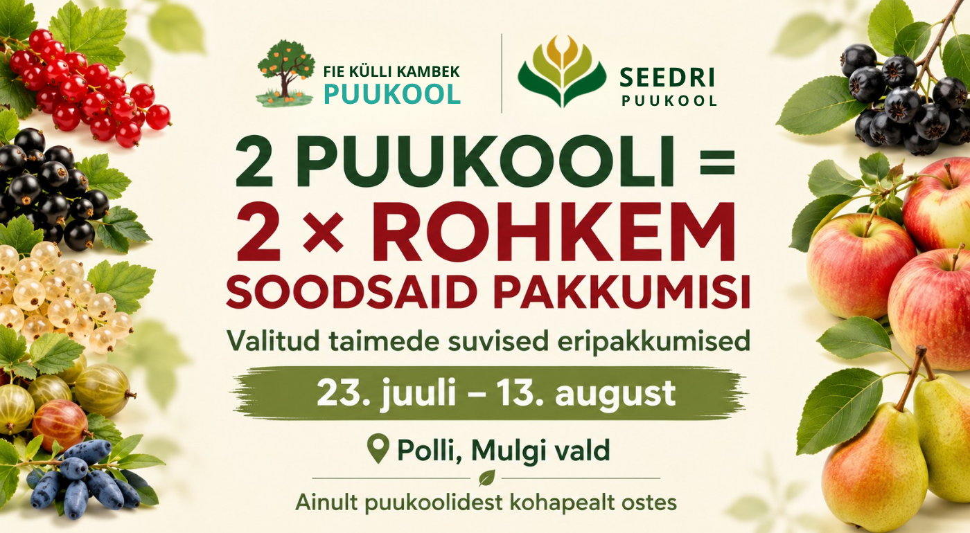 kambek.ee kampaania banner