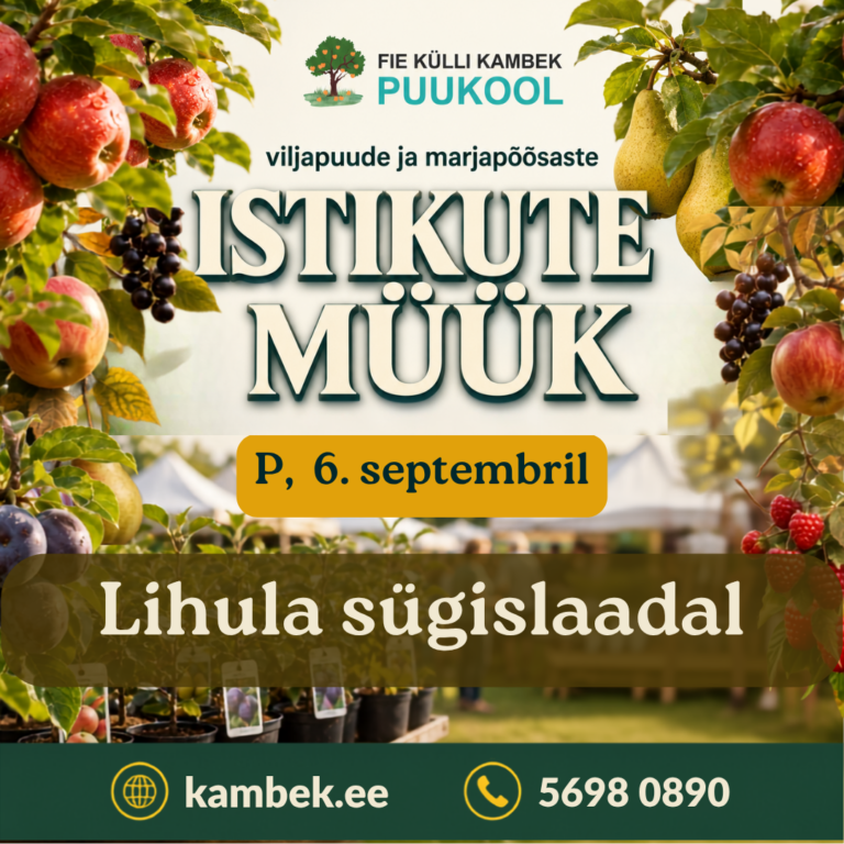 Lihula sügislaat 06.09.2026