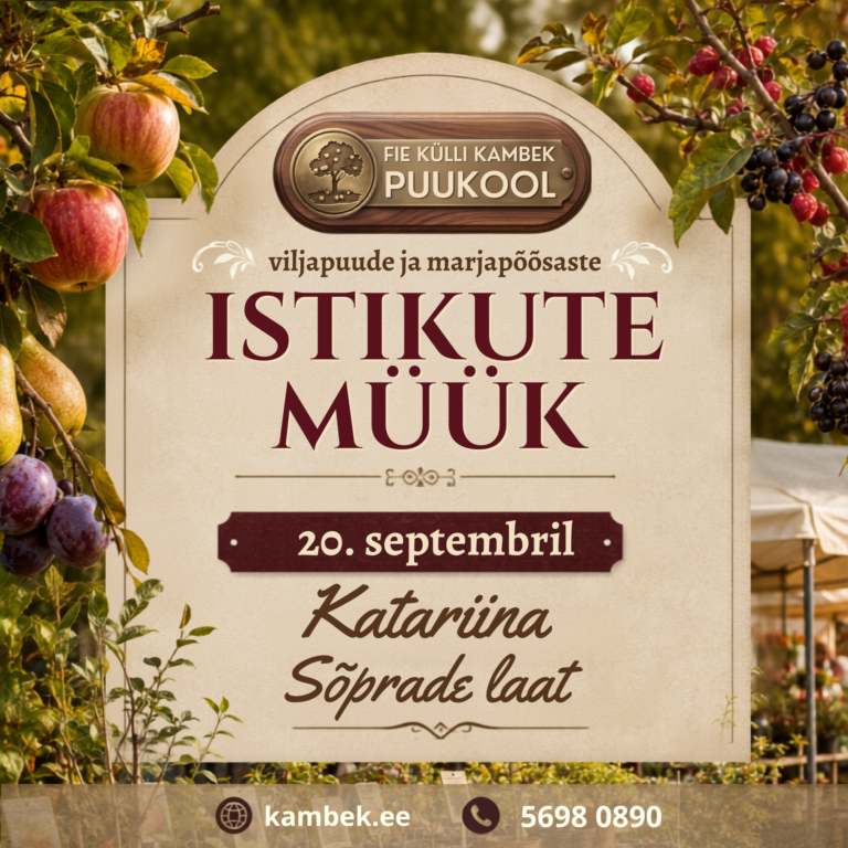 Katariina Sõprade laat 20. september 2026