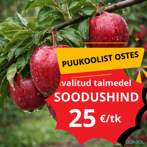 kat õunapuu kampaania