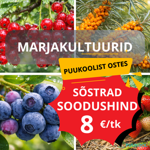 marjakultuuri sõstrad kampaania soodustus