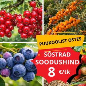 marjakultuurid kat soodus
