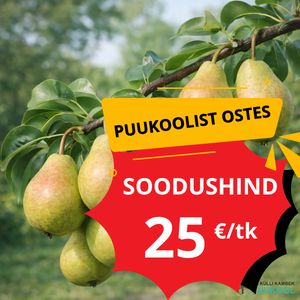 suvipirni kat soodus