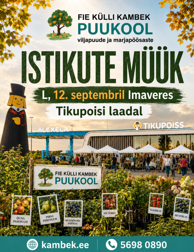 Tikupoisi sügislaat Imaveres 12. septembril 2026